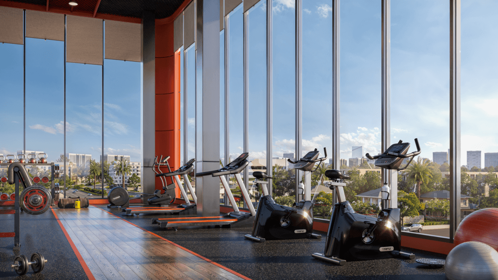 GYM