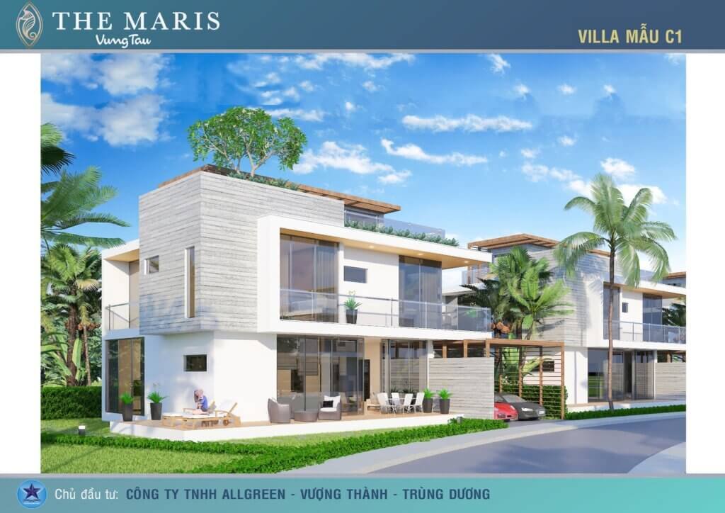 MẪU C1 TỔNG THỂ